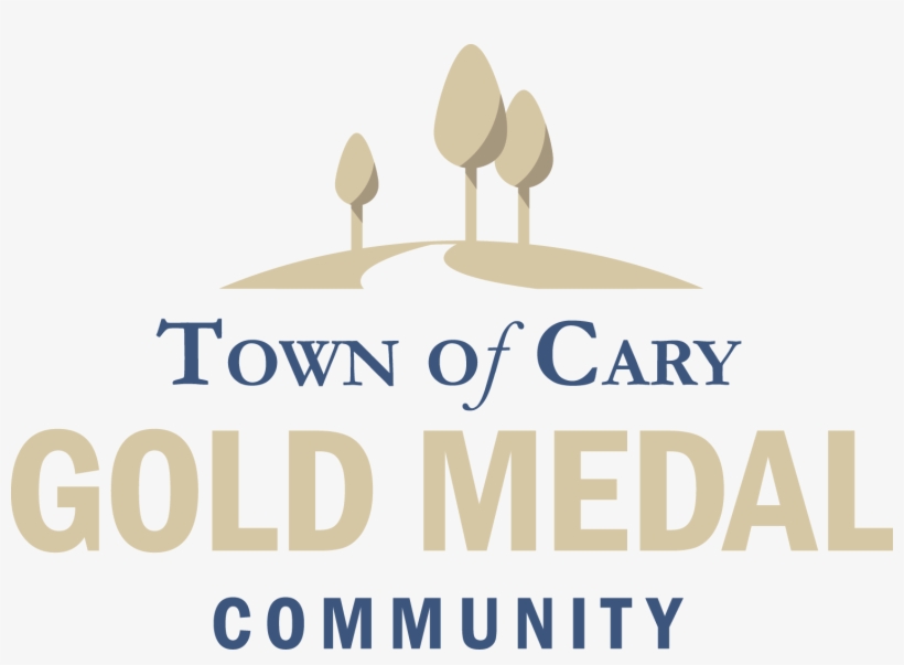 Special Thanks To Our Gold Sponsors Food Lion And Toys - Gold Medal, transparent png download