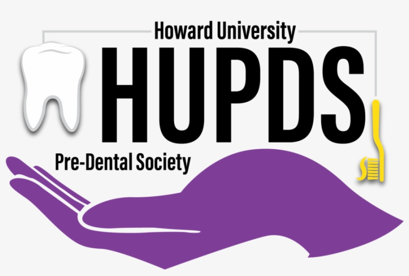 Logo@2x - City University, transparent png download