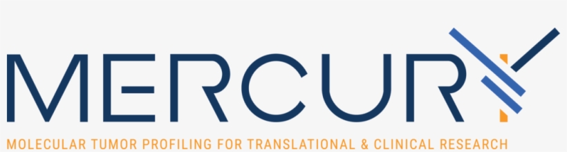 12 February - World Wide Web, transparent png download