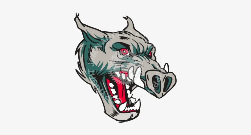 Mean Wild Boar Head In Color, transparent png download