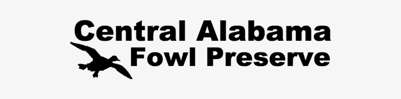 Nb Heart Centre Logo, transparent png download