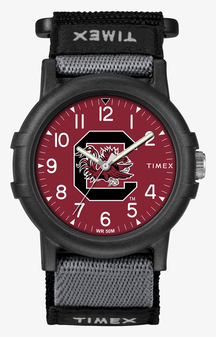 Recruit South Carolina Gamecocks Large - Timex Camper T49713 Watch, transparent png download