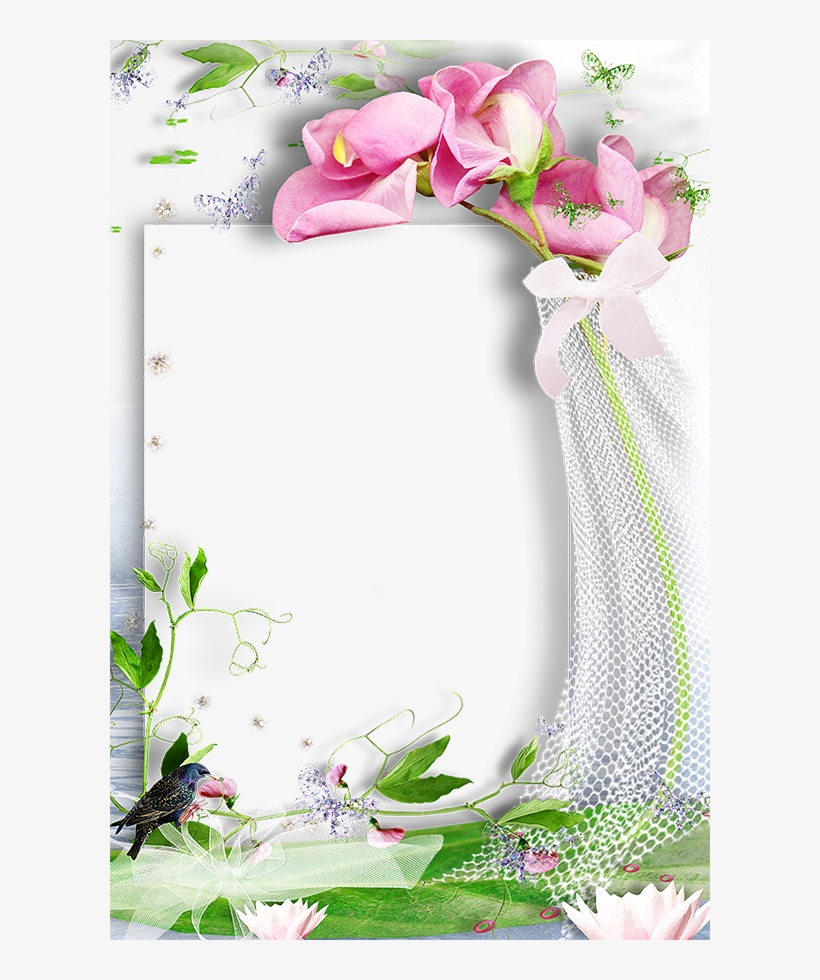 Pin By Meirelandespoggi@gmail - Picture Frame, transparent png download