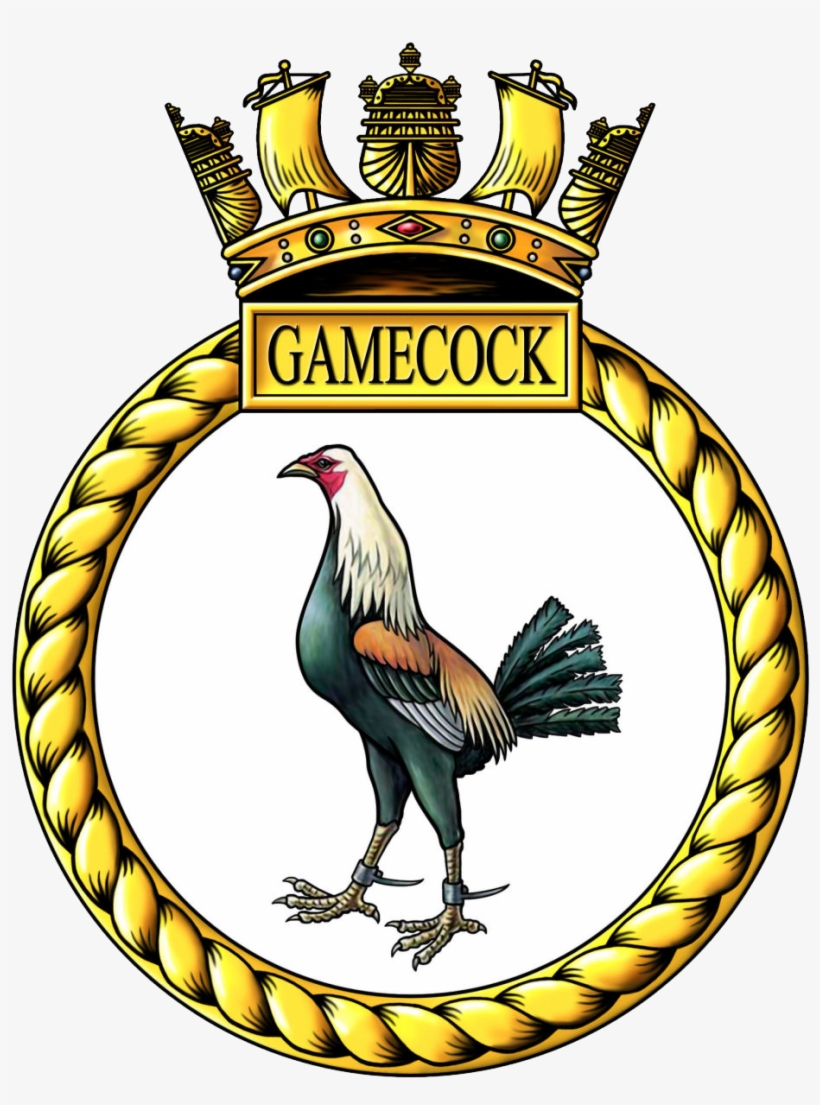 Hms Gamecock, transparent png download