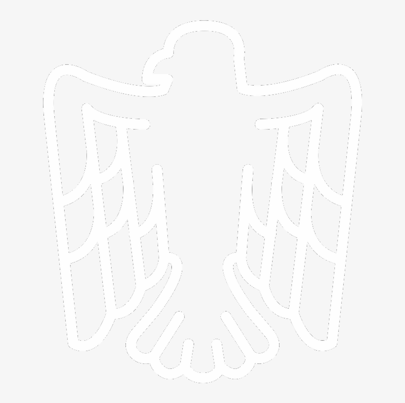 Live Birds Of Prey - Motivation Eagle, transparent png download