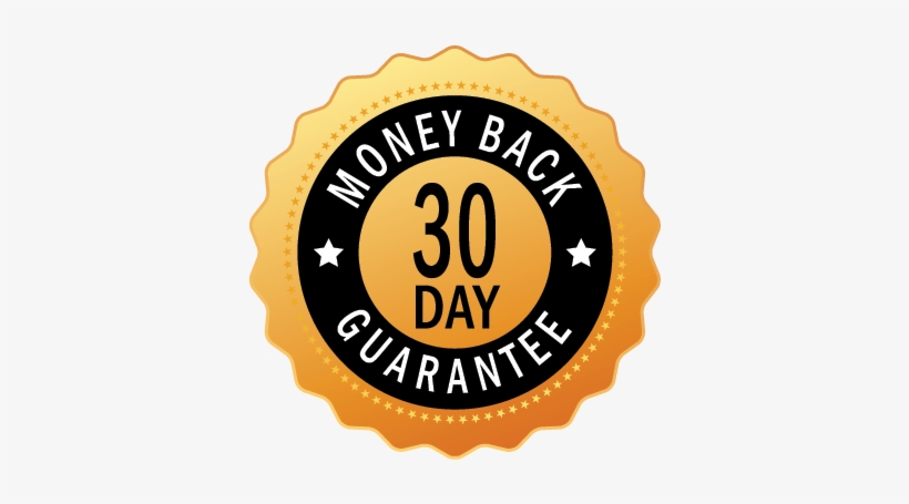 Tune Squad Jersey - Money Back Guarantee Logo Png, transparent png download