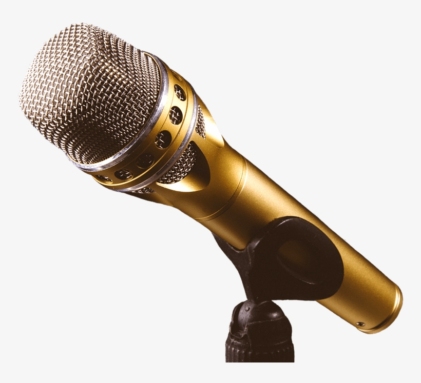 Pro Audio Microphone - Microphone, transparent png download