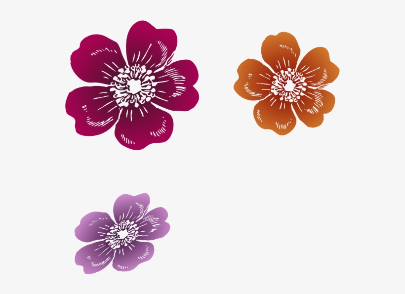 This Free Clipart Png Design Of Three Wild Roses Clipart - Clip Art, transparent png download