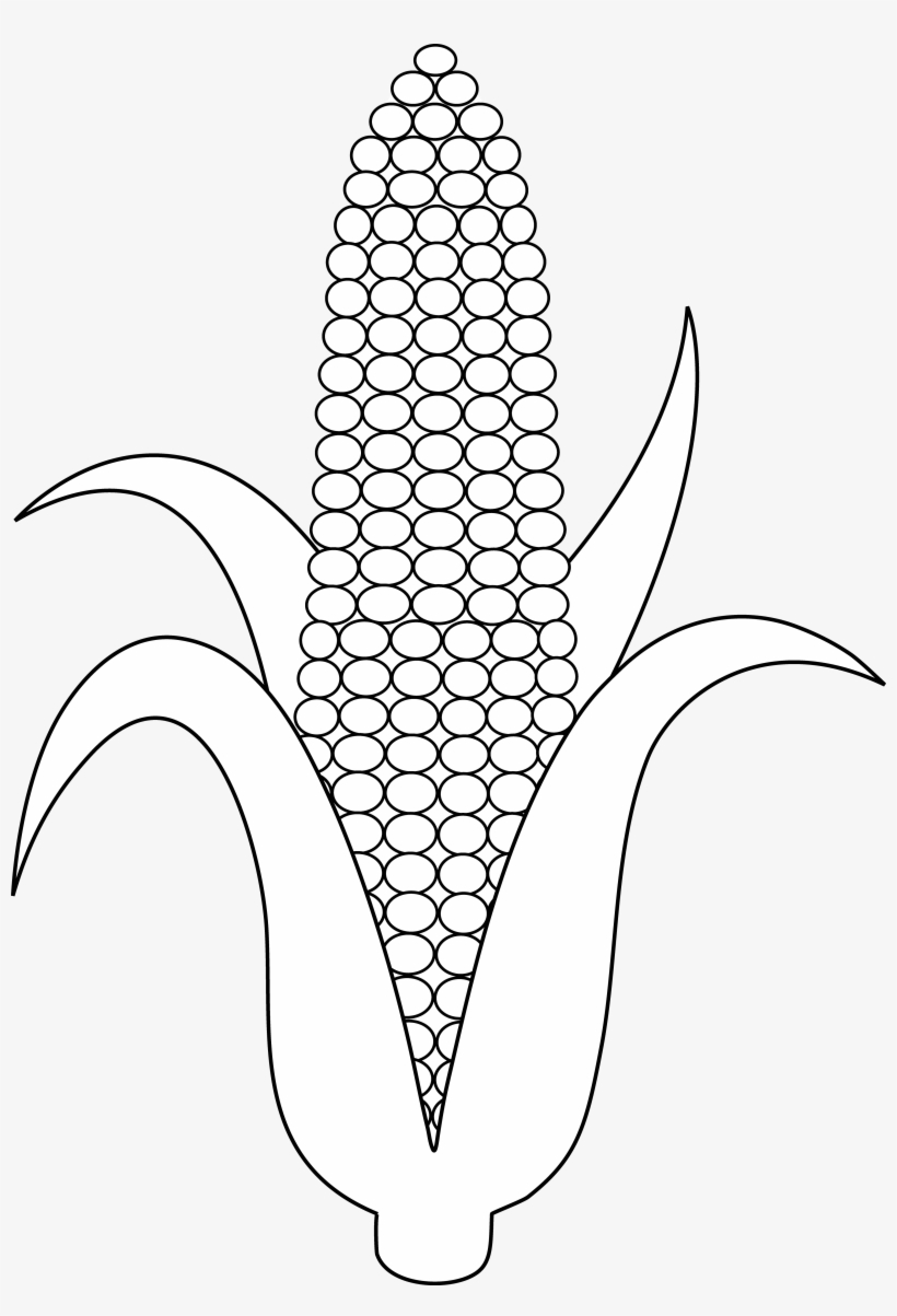 Ear Of Corn Colorable Line Art - Maize Clip Art Black And White, transparent png download