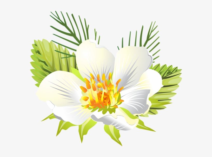 White Flower Png Clip Art Image - Lily, transparent png download