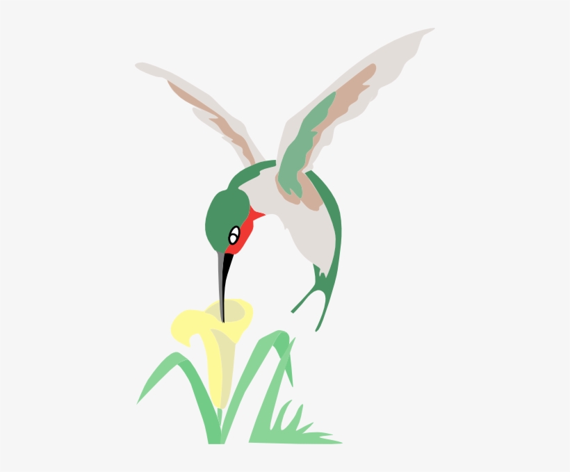 How To Set Use Green And White Hummingbird With Flower - Hummingbird On Flower Clipart, transparent png download