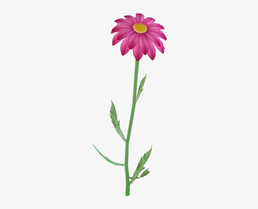 Flower Clipart Png, Purple Daisy, Pink Flowers, Pretty - Steam Flower Png, transparent png download