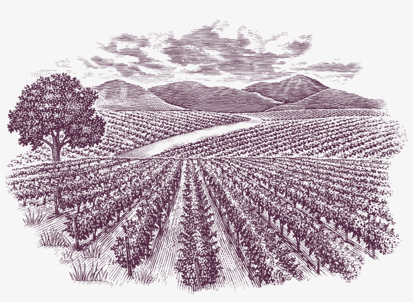 Png - Crochet, transparent png download