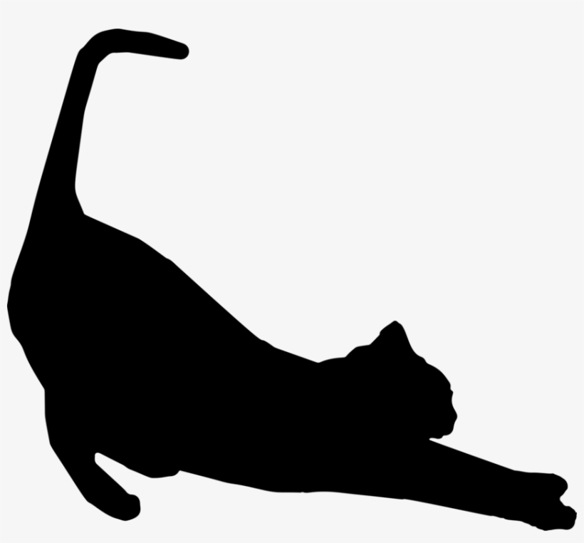 Cats Protection Silhouette Kitten Stretching - Cat Silhouette Stretching, transparent png download