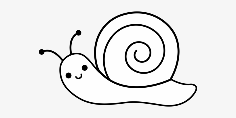 Clipart Info - Line Drawing Of Snail, transparent png download