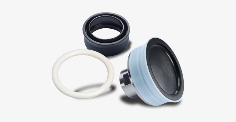 Customised Sealing Rings And Lip Seals - Belt, transparent png download