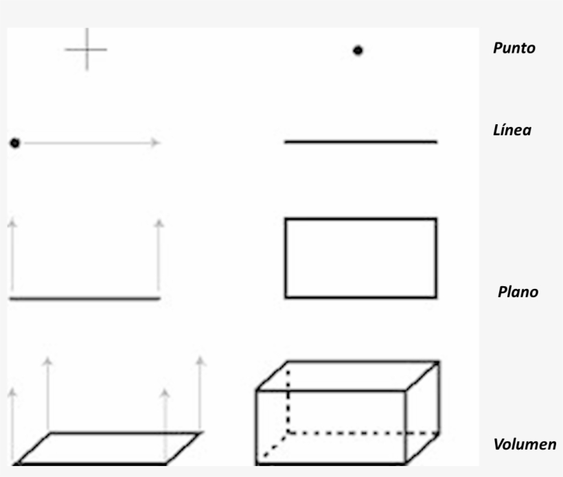 W - Punto Linea Plano Y Volumen, transparent png download