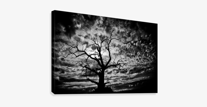 Spooky Tree Canvas Print - Canvas Print, transparent png download