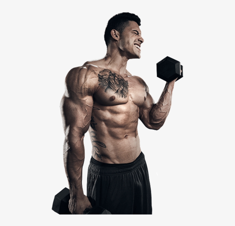 Jojo Gonzales 2942 Layer V2 - Biceps Curl, transparent png download