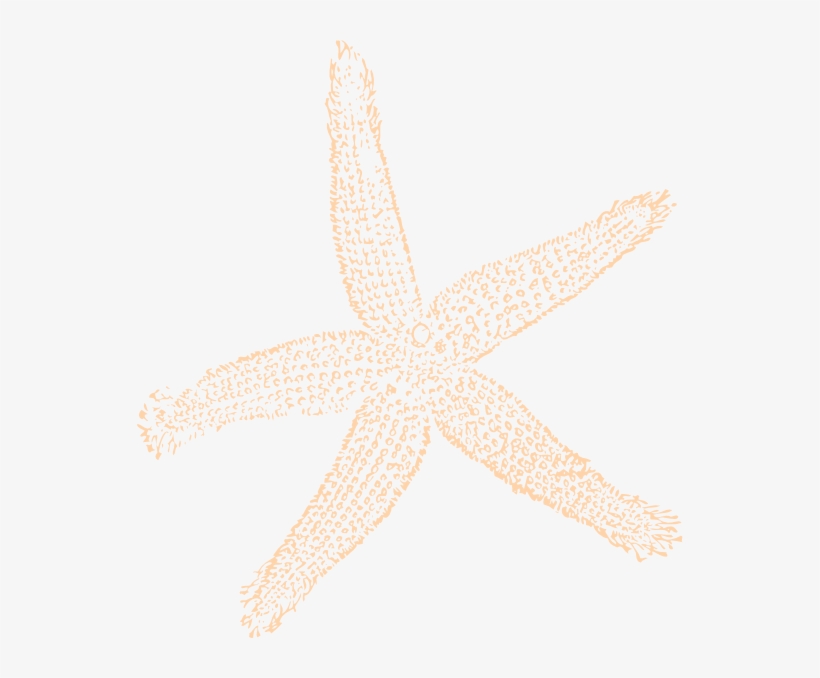 Fish Clip Art, transparent png download