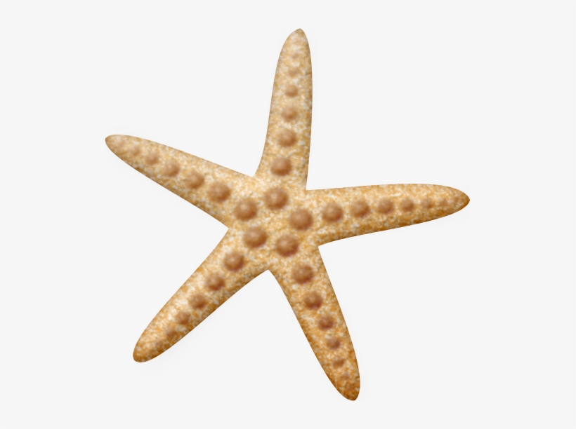 Starfish * Carpeta, Maquetas, Estrellas, Verano, Clipart - Blue Starfish Png, transparent png download