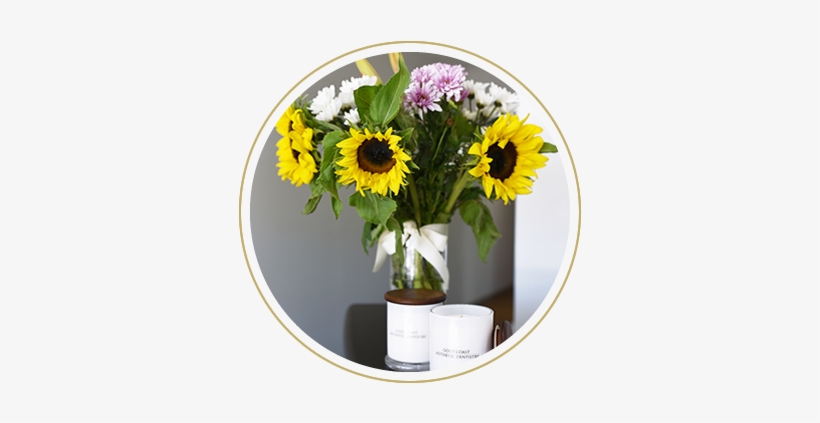 Gold Coast Aesthetic Dentistry, transparent png download