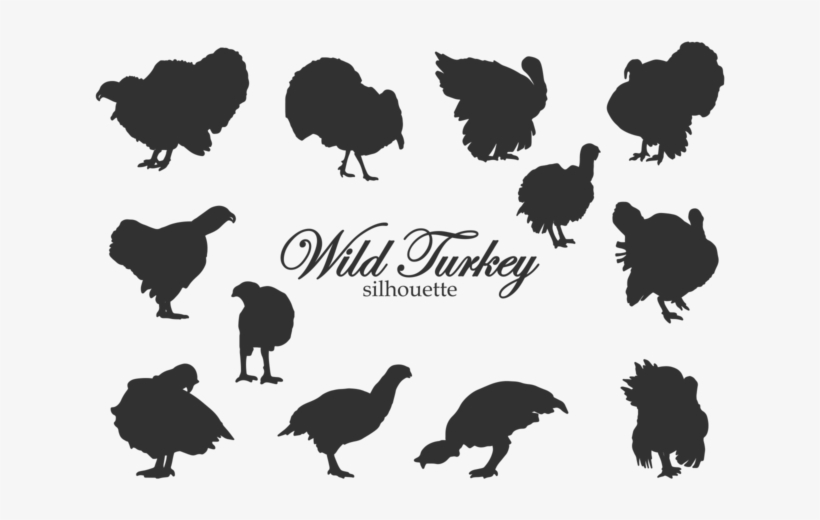 Siluetas Silvestres De Turquía - Turkey Silhouette Vector, transparent png download