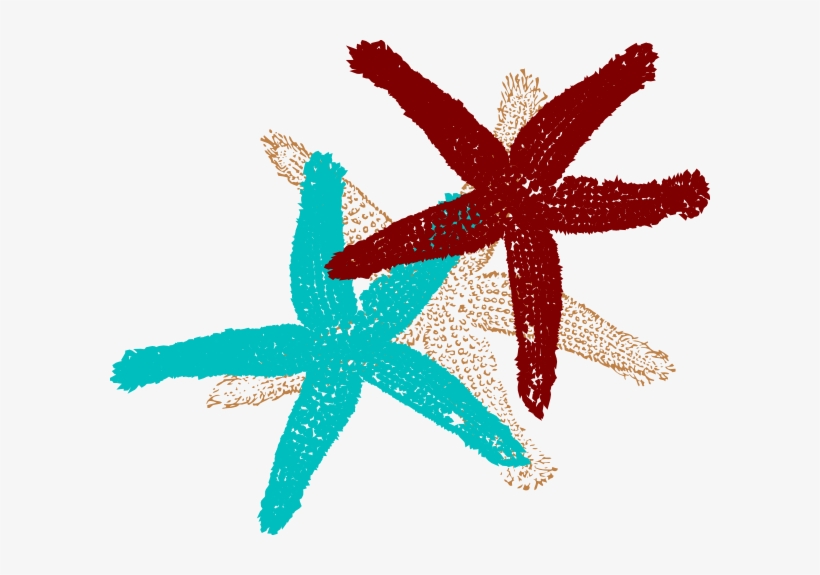 Tiffany Blue Starfish Clipart - Fish Clip Art, transparent png download