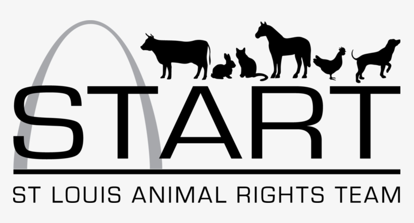 Turkey-free Thanksgiving - Ali Al Marzouqi Airconditioning, transparent png download