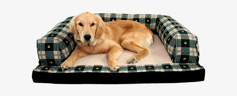 Baxter Couch - H. Valley Bolstered Premium Dog Couch Fleece Orthopedic, transparent png download