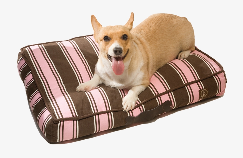 Classic Pillow Beds One For Pets Cotton Canvas Pillow Pet Bed PNG