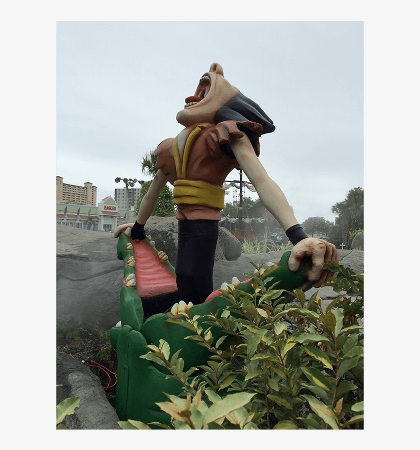 About This Project - Plantation, transparent png download