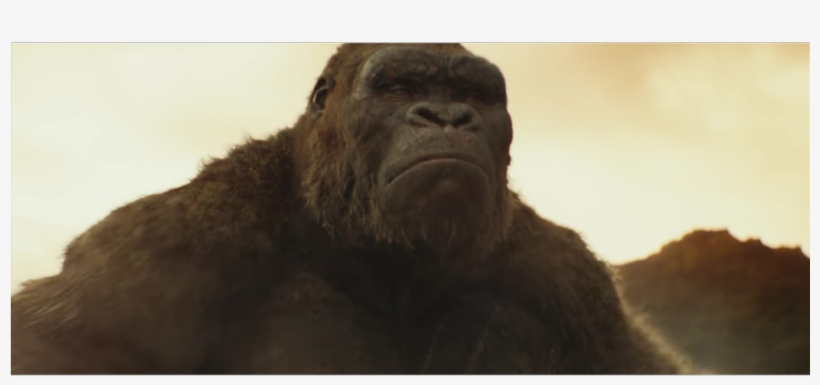Does Kong - Film, transparent png download