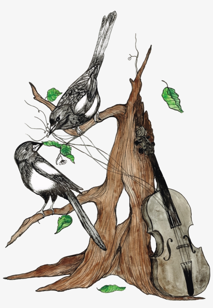 Thursday - Missoula, transparent png download