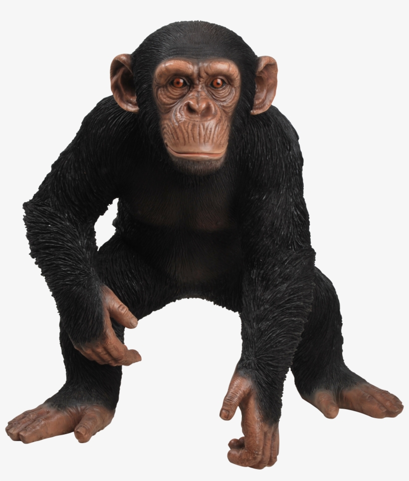 Rl Standing Chimpanzee B - Vivid Arts Standing Chimpanzee, transparent png download