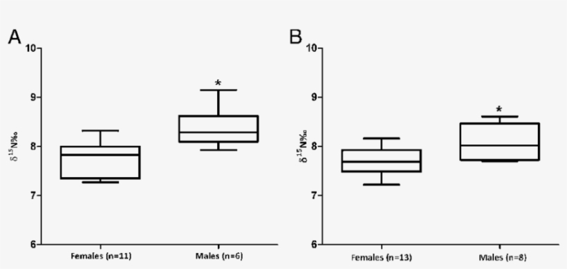 Δ 15 N Values For Chimpanzee Rib And Femora (b) - Diagram, transparent png download