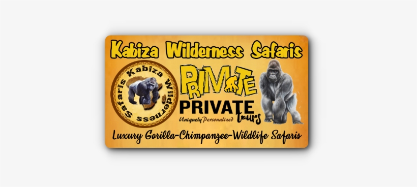 Chimpanzee Trekking And Habituation Experience Safaris - Gorilla, transparent png download