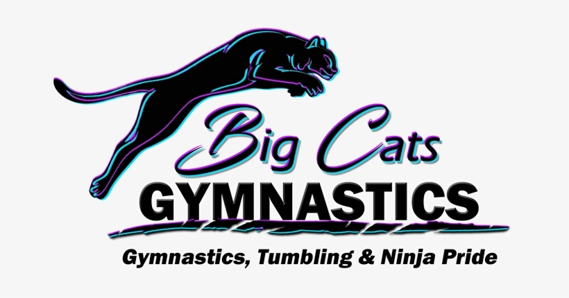 Gymnastics, transparent png download