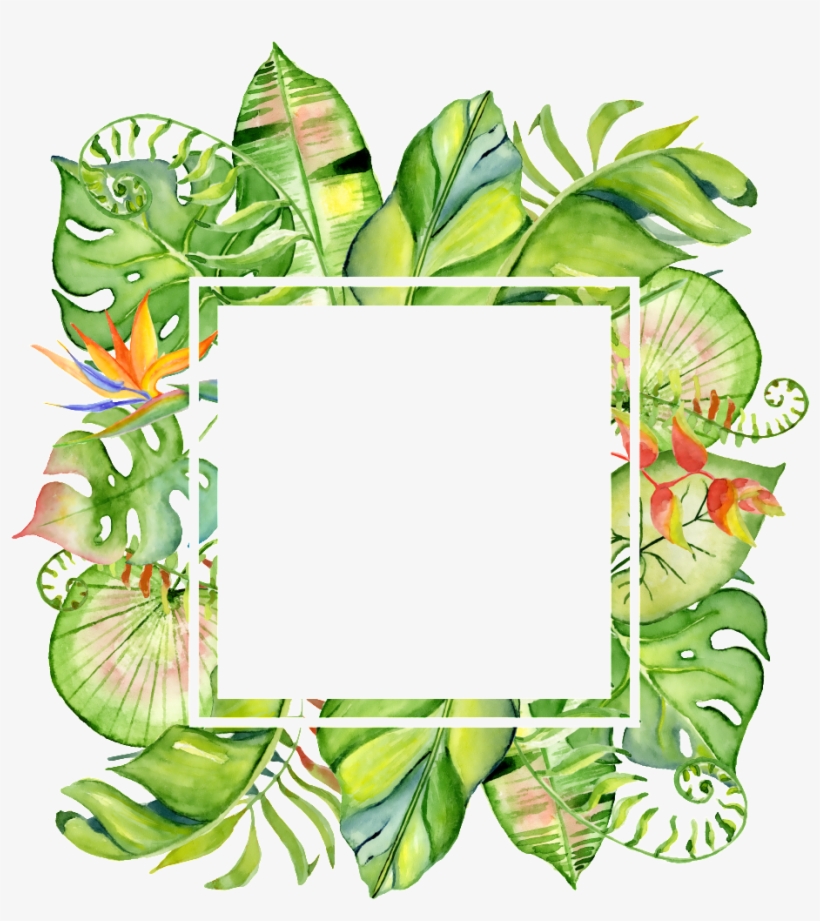 Hand Painted Square Leaf Frame Png Transparent - Marco Para Fotos Selva, transparent png download