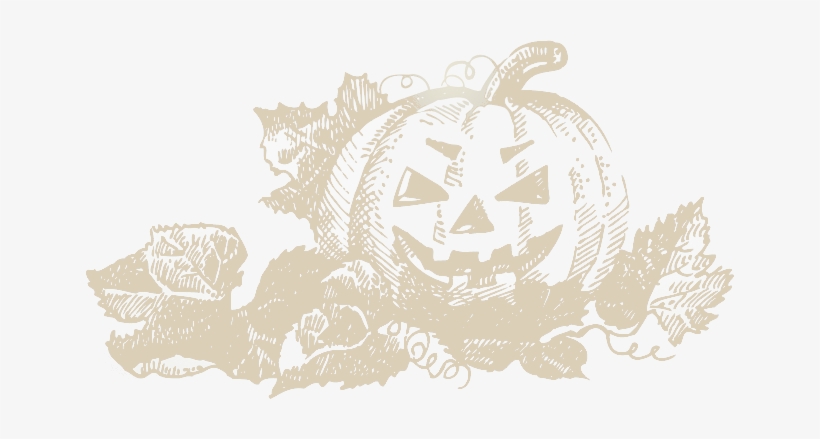 Halloween Pumpkin - Illustration, transparent png download