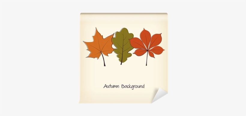 Thanksgiving Background With Autumn Leaves Wall Mural - Thanksgiving, transparent png download