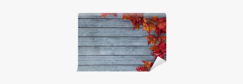 Plank, transparent png download