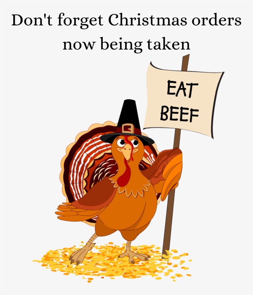 Recent Comments - Cartoon Turkey, transparent png download