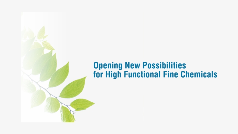 Kaspersky Internet Security 2010, transparent png download