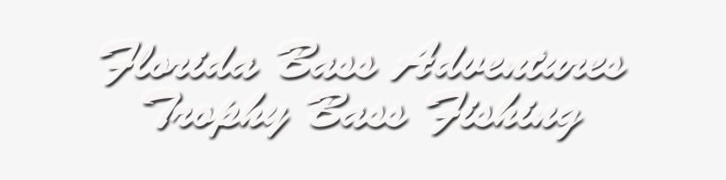 Lake Toho Bass Fishing Guide - Lake Tohopekaliga, transparent png download