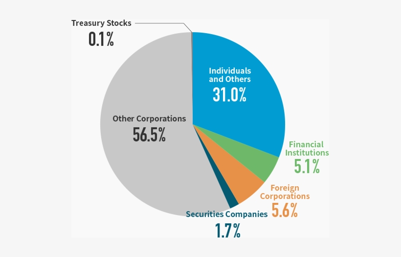 Shareholder Composition - Diagram, transparent png download