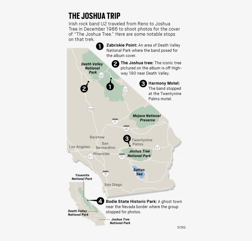 Wildflowers Blanket The High Desert Among The Joshua - Map, transparent png download
