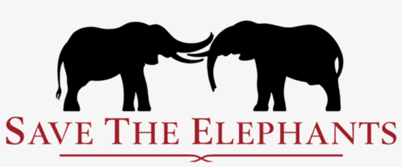 Elephants - Save The Elephants Logo, transparent png download