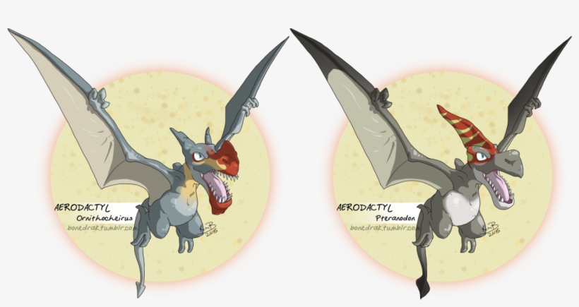 Jumping On The Bandwagon And Made Some Aerodactyl Variants - Pterosaurs, transparent png download