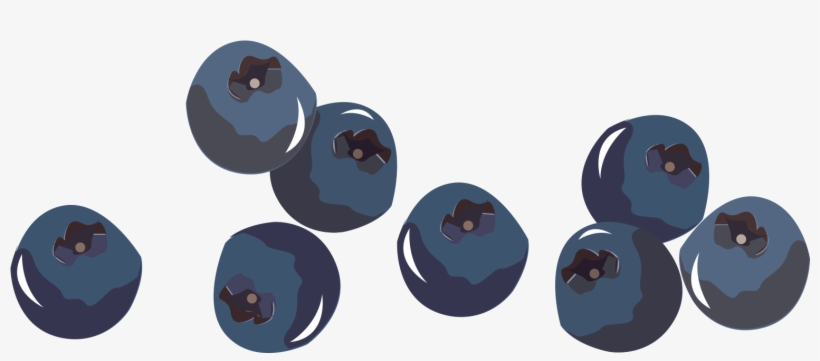 Why Is My Coffee Described As Tasting Like A Blueberry - Blueberry Png, transparent png download